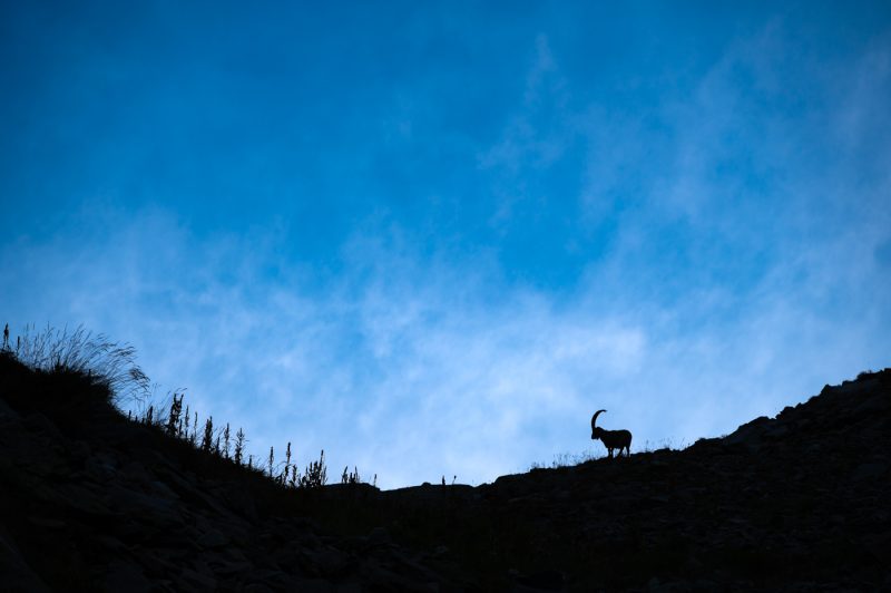 À contre-jour