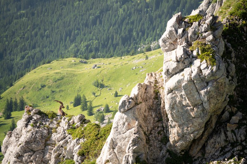Pas mal la vue