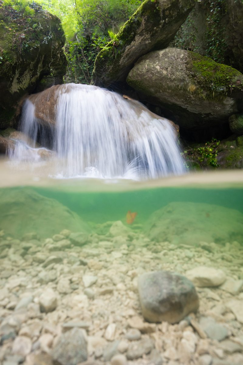 Dans les eaux transparentes du Vercors