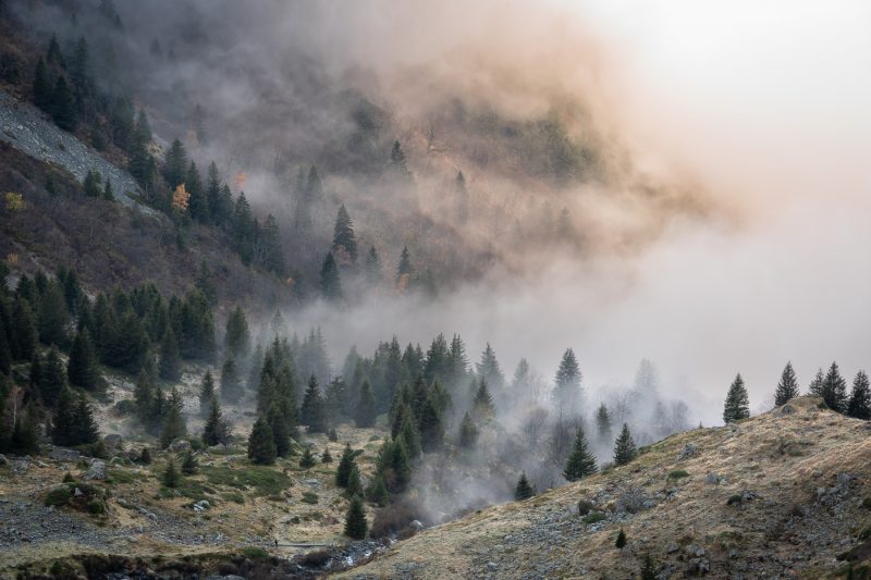 Brumes d'automne